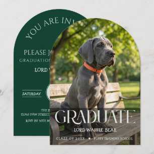 Invitation de fin d'études de chien Photo de l'ani