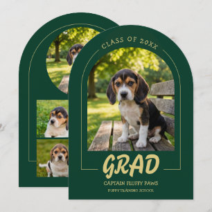Invitation de fin d'études pour chiens Photos de v