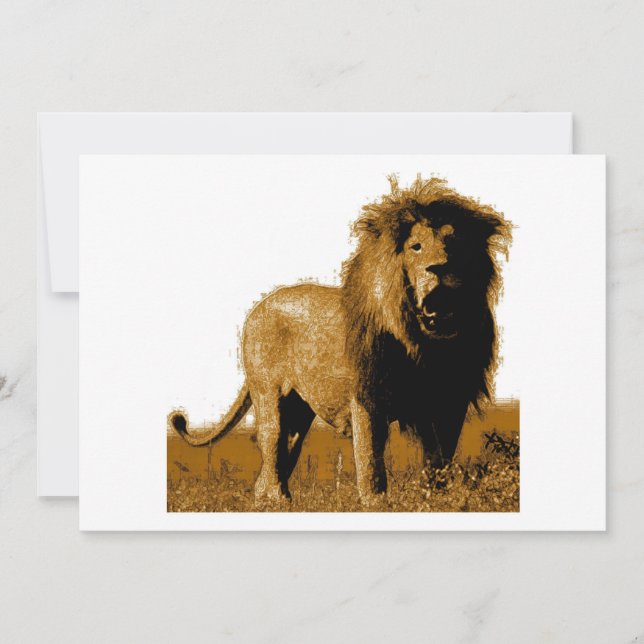 Invitation de lions - Invitations de lions (Devant)