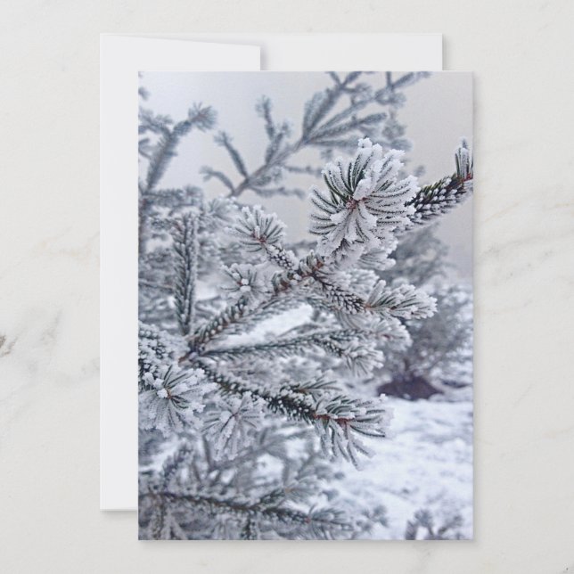 Invitation de Noël, arbre de Noël sous la neige (Devant)