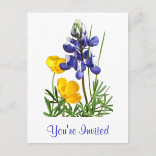 Invitation de pavots lupins