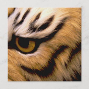 Invitation de photo de tigre