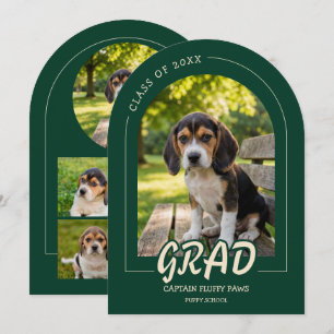 Invitation de photos de chiens diplômés Émeraude