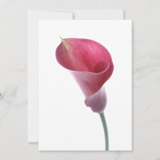 Invitation de Purple Calla Lily