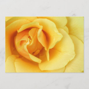 Invitation de rose jaune