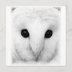 Invitation de Snowy Owl