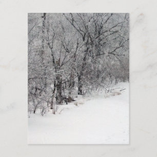 Invitation de Snowy Woods