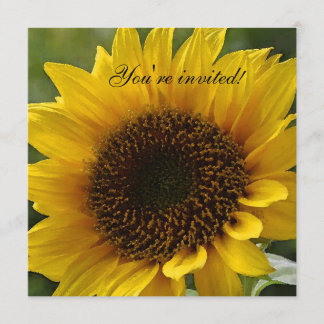 Invitation de tournesol