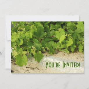 Invitation de vignoble