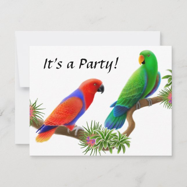 Invitation d'Eclectus Birds (Devant)