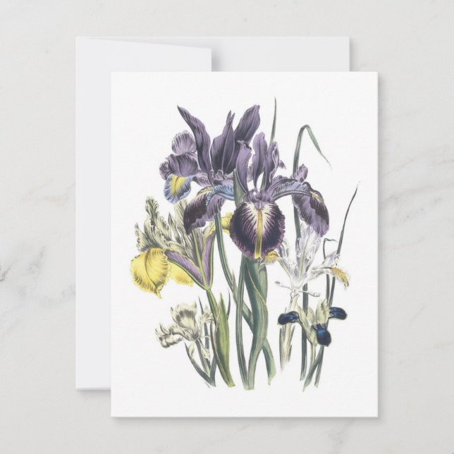 Invitation Déjeuner dans le jardin (Devant)