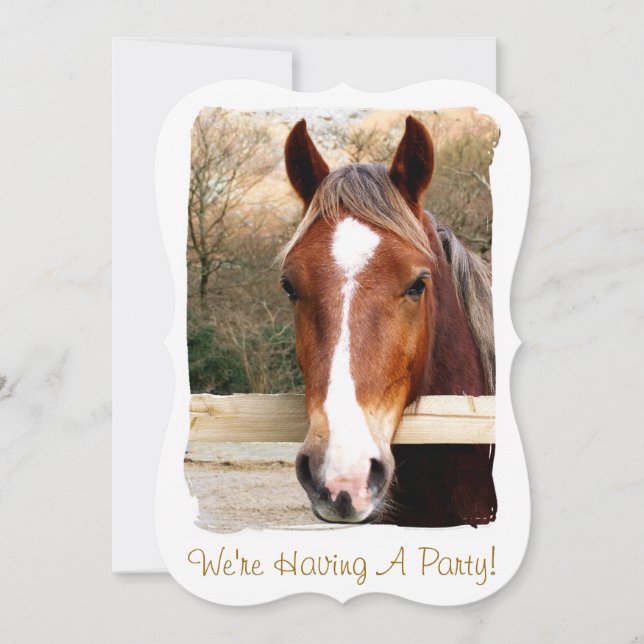 INVITATION DES CHEVAUX (Devant)