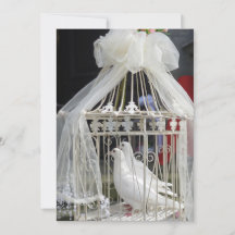 Des colombes de mariage attendent les mariés