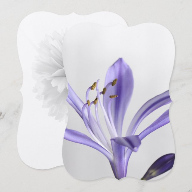 Invitation Destinée de la Fête des mariées Party (Devant / Derrière)