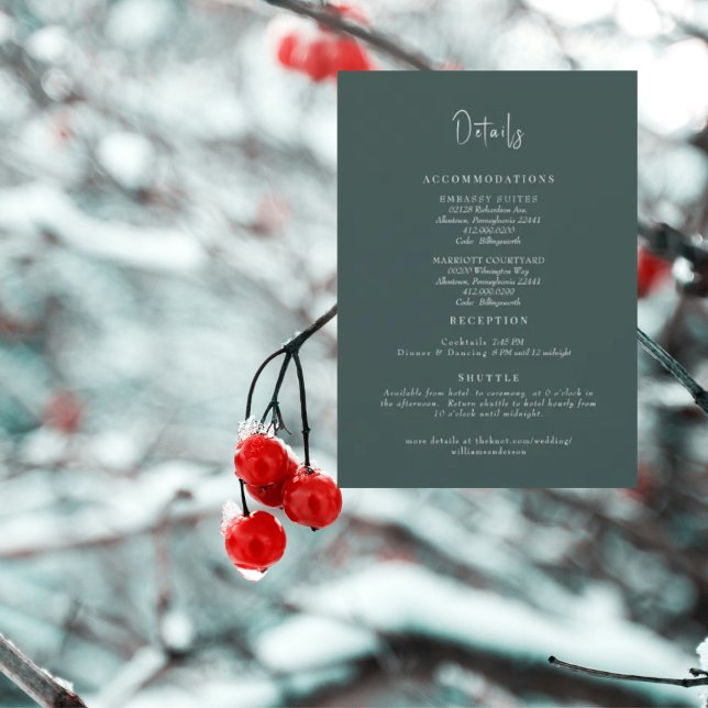 Invitation Détails du Mariage turquoise (Créateur téléchargé)