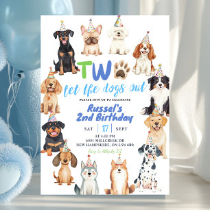 Invitation Deuxième anniversaire de chiens