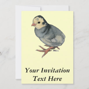 Invitation Dinde Poult Blue Slate