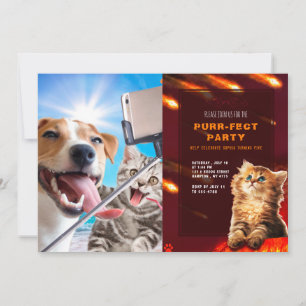 Invitation Dog and cat photographed selfie on the phone