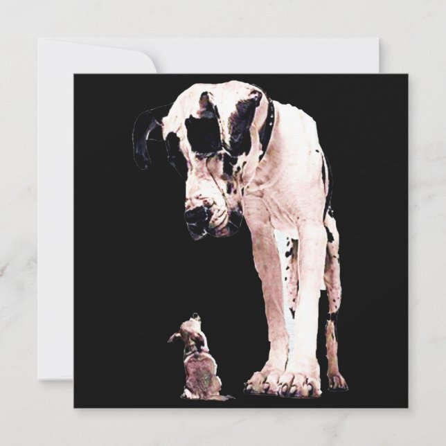 Invitation Dons de chien | Famille Amateurs de Grande Danse (Devant)