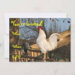 Invitation double face, coq