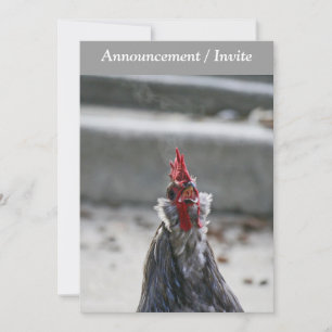 Invitation double, Liste