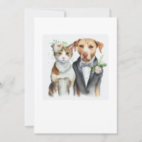 drôle sérieux : mariage de chat et de chien, aquar
