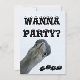 Invitation du Crazy Wild Bird Party