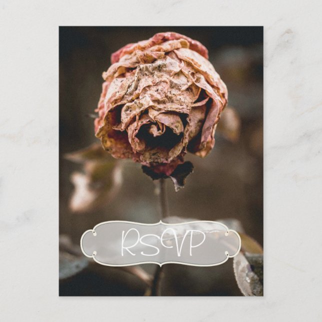 Invitation du Divorce Party RSVP avec photo (Devant)