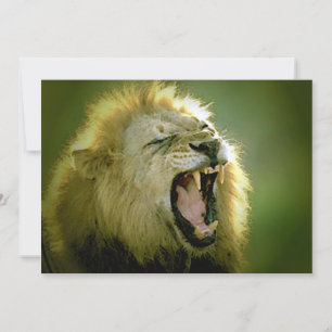 Invitation du lion rugissant