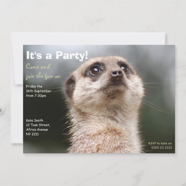 Invitation du Meerkat Party (Devant)