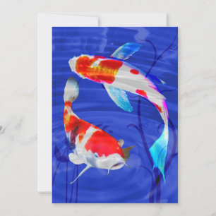 Invitation Duo de Kohaku dans l'étang bleu profond