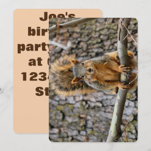Invitation Écureuil de renard