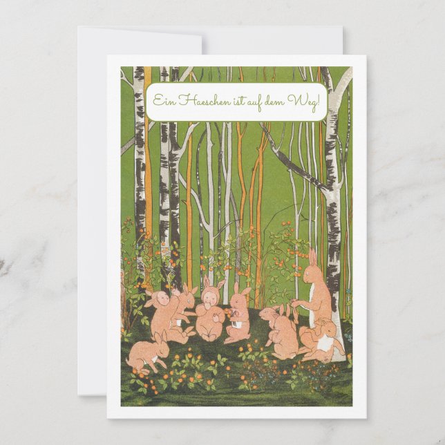 Invitation Ein Kleines Haeschen Baby Party Einladung (Devant)