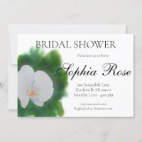 Elégante orchidée blanche couleur eau peinture flo