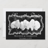 Elégante orchidée noire blanche