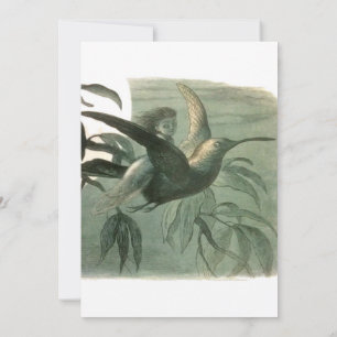 Invitation Elf Fairies Elves Lune Scène nocturne Oiseau Volan