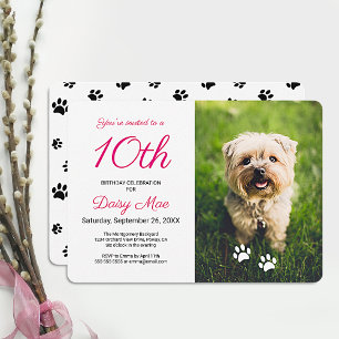 Invitation Empreintes de pattes noires Photo d'anniversaire d