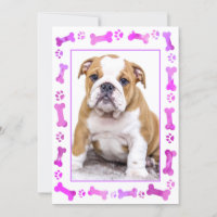 Empreintes de pattes roses Nouveau chien animal de