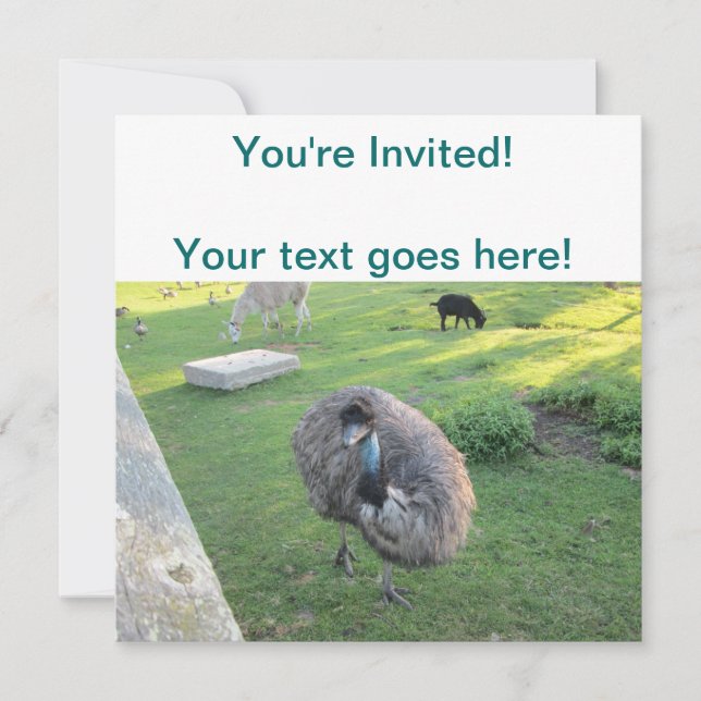 Invitation Emu (Devant)