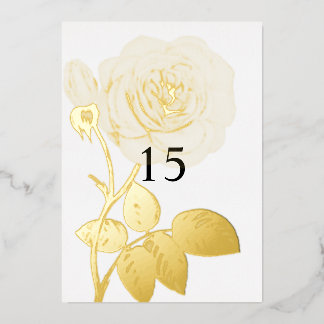 Invitation En Aluminium Calligraphie minimaliste texto anniversaire