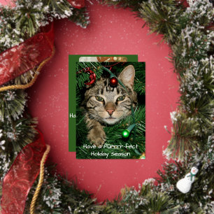 Invitation En Aluminium Cat Christmas Tree Perfect Holiday Card