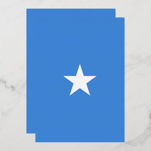 Invitation En Aluminium Drapeau de Somalie