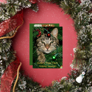 Invitation En Aluminium Noël de chat Purr-fect Foil Noël
