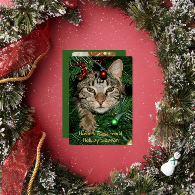 Invitation En Aluminium Noël de chat Purr-fect Foil Noël (Insitu)