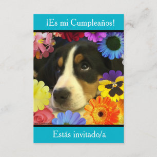 Invitation Espagnol : Fiesta de cumpleaños - Invitación
