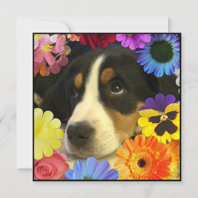 Invitation Espagnol : Invitación de cumpleaños/ Anniversaire (Devant)