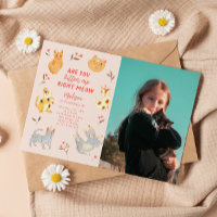 Êtes-Vous Kitten Me Chat Photo Anniversaire