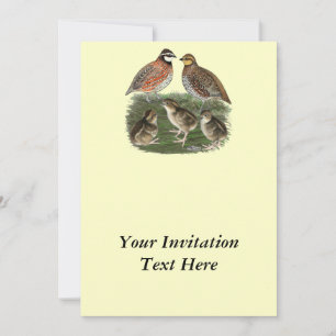 Invitation Famille Bobwhite Quail