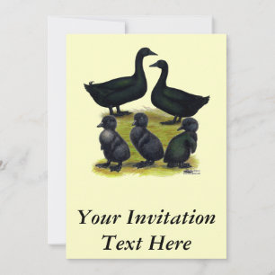 Invitation Famille Cayuga Duck