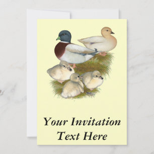 Invitation Famille de canards colverts pastel